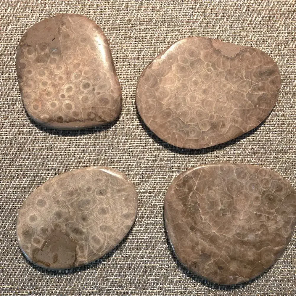 Set of 4 Polished Petoskey Stone Fossil Coral Drink Coasters with Cork Backing